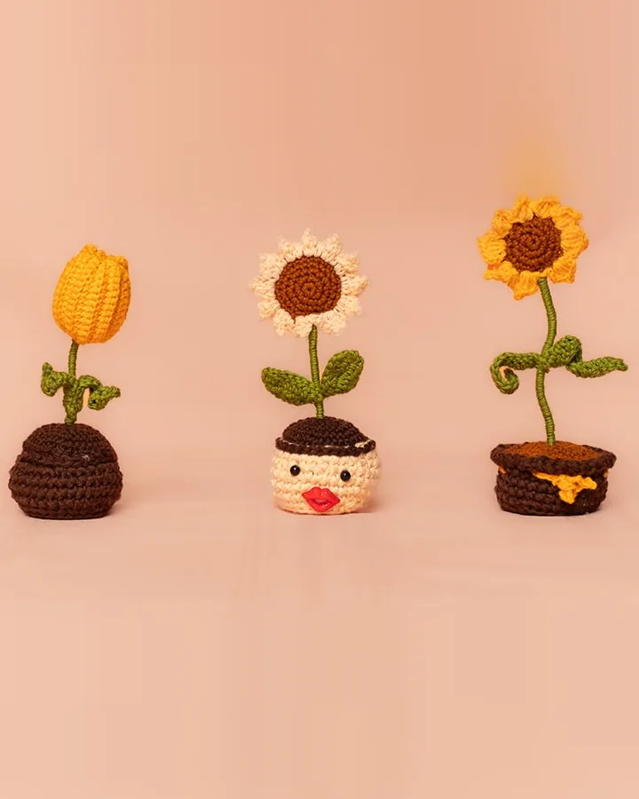 Macetitas con flores
